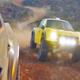 Illustration for article titled Mad Max Meets NASCAR: My Brutal 800 Mile Drive Across A Mexican Wasteland